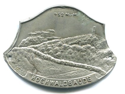 Z613