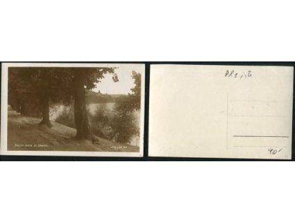 ŽINKOVY. Partie ze zámkem. 1925.