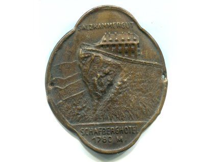 Z825