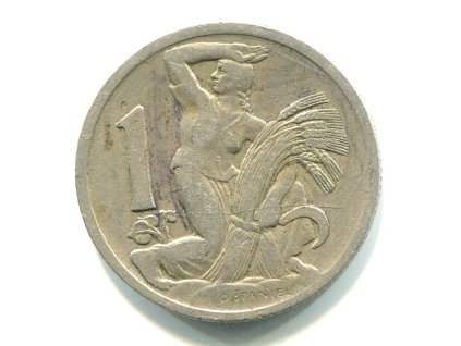 Y381