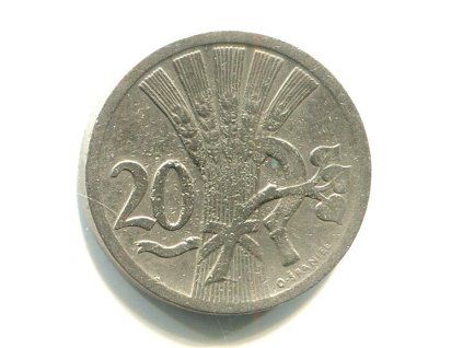 T081