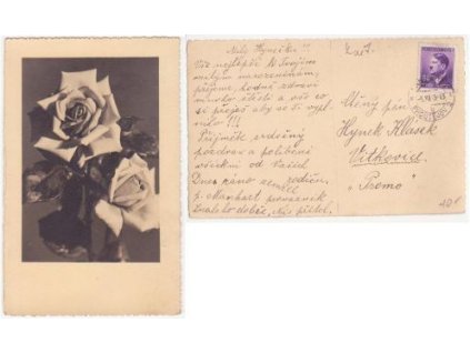 Růže. 1943