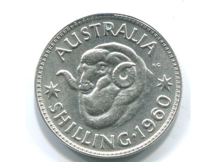 YY173