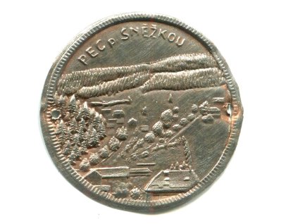 Y893