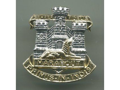 Velká Británie. British Army Devonshire.