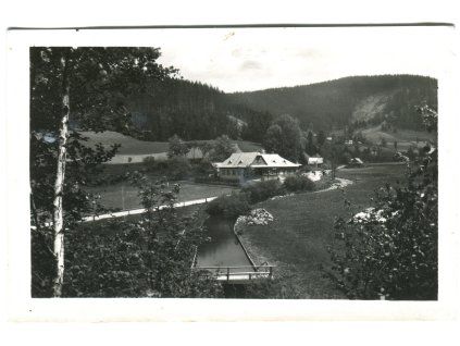 das1008