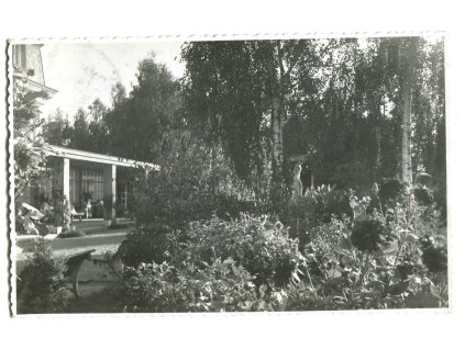 daa375