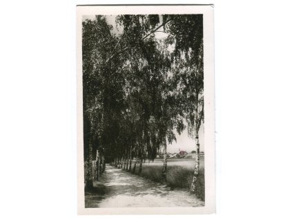daa316