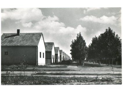 daa629