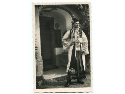 DAV179