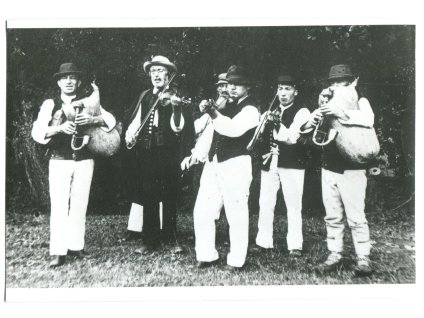 DAV191