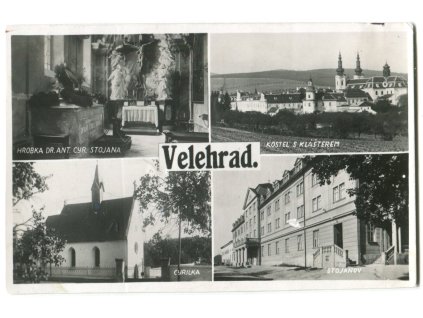 vvv037