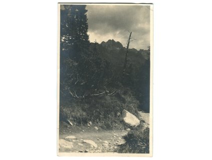 ii005