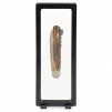 schweberahmen magic frame 230 4