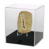 Krychlová vitrína 10×10×12 cm - 2