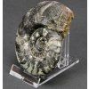 Akrylový stojan 7,5×13×8¨10,5 cm - 3